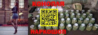 сатива Абакан
