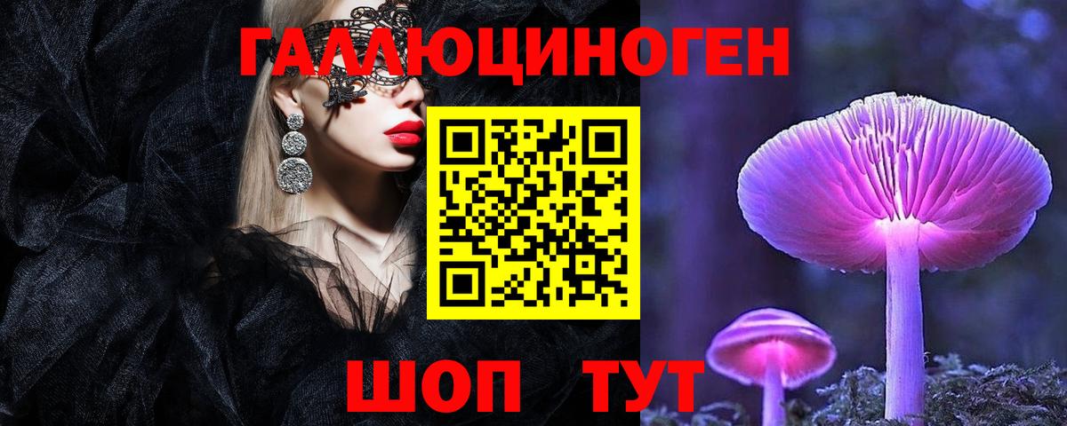 купить наркотики цена  Вход с VPN  Анжеро-Судженск  Псилоцибиновые грибы GOLDEN TEACHER 