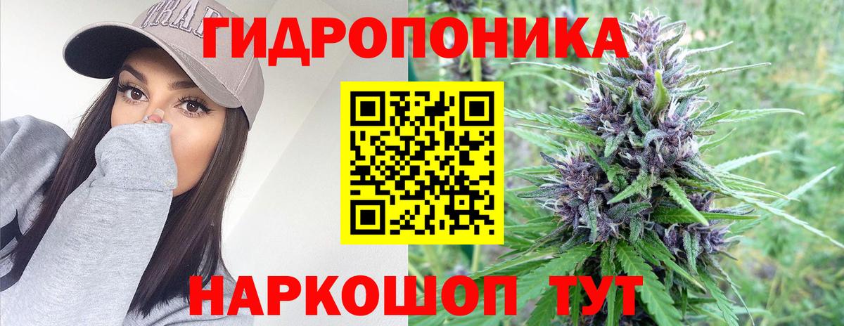 Анжеро-Судженск  Бошки Шишки ГИДРОПОН  Вход с VPN  Шишки марихуана сатива  Конопля ГИДРОПОН 